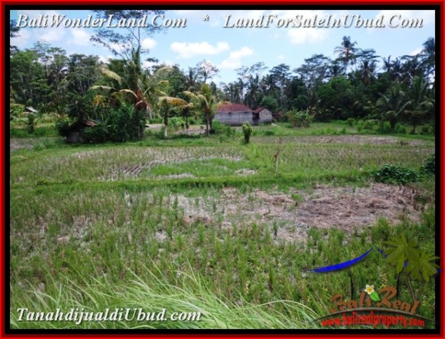 Magnificent LAND IN UBUD FOR SALE TJUB534