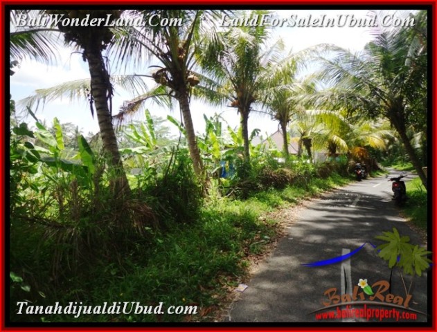 Magnificent LAND IN UBUD FOR SALE TJUB534