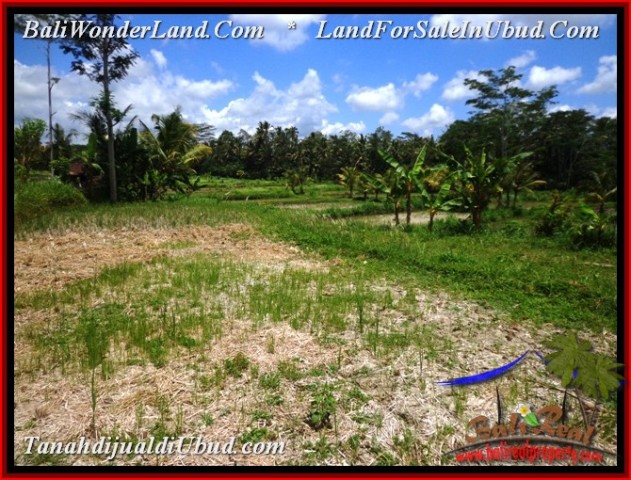 Magnificent LAND IN UBUD FOR SALE TJUB534