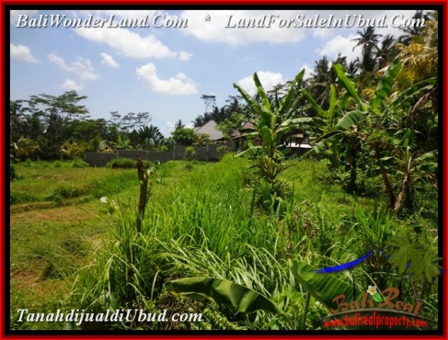 Magnificent LAND IN UBUD FOR SALE TJUB534