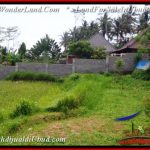 Magnificent LAND IN UBUD FOR SALE TJUB534