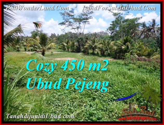 Affordable PROPERTY LAND SALE IN UBUD TJUB535