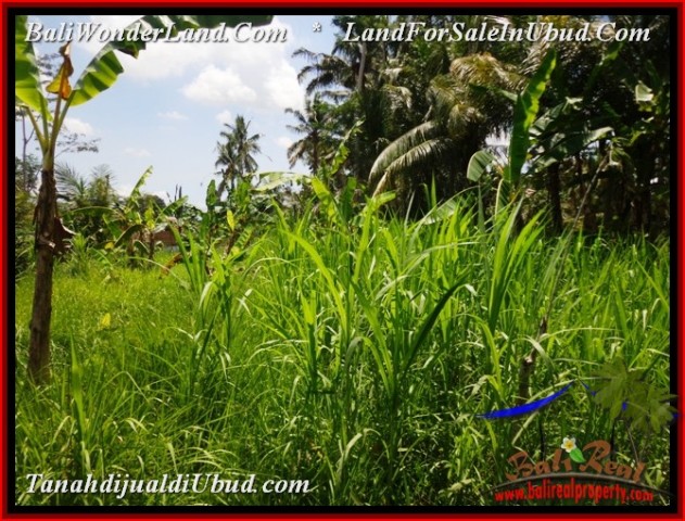 Affordable PROPERTY LAND SALE IN UBUD TJUB535