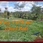 FOR SALE Exotic PROPERTY LAND IN UBUD TJUB536