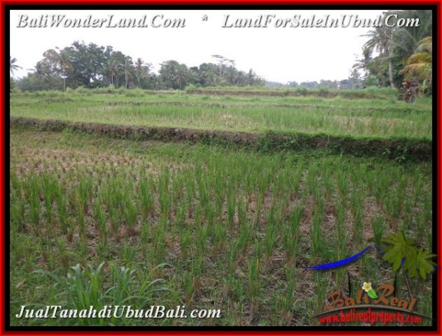 FOR SALE Exotic PROPERTY LAND IN UBUD TJUB536