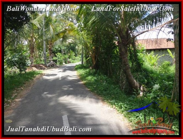 FOR SALE Exotic PROPERTY LAND IN UBUD TJUB536