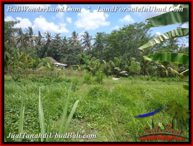 FOR SALE Exotic PROPERTY LAND IN UBUD TJUB536