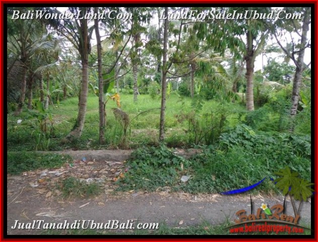 FOR SALE Exotic PROPERTY LAND IN UBUD TJUB536