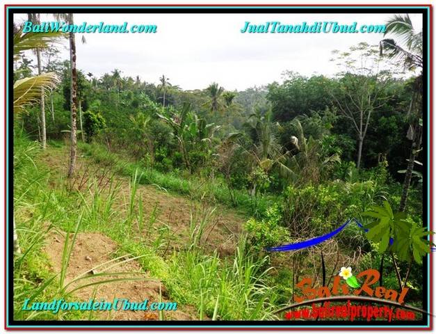 Magnificent PROPERTY 1,500 m2 LAND SALE IN Ubud Tegalalang TJUB556