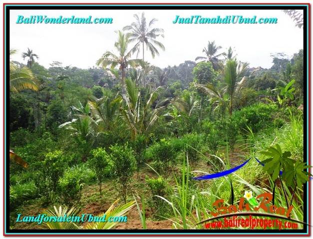 Magnificent PROPERTY 1,500 m2 LAND SALE IN Ubud Tegalalang TJUB556