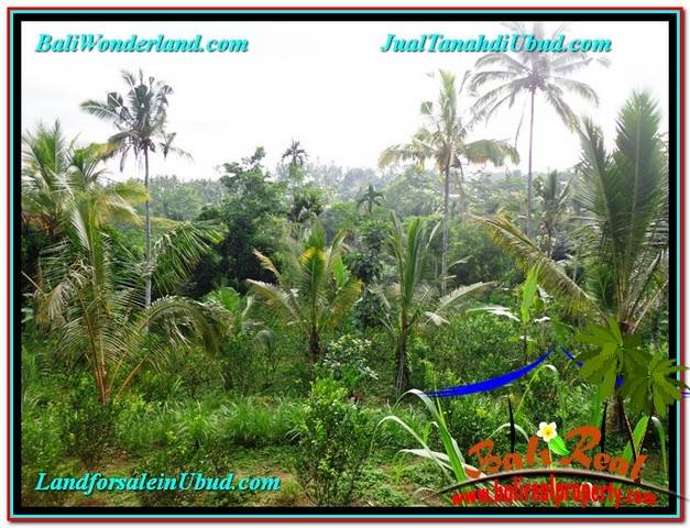 Magnificent PROPERTY 1,500 m2 LAND SALE IN Ubud Tegalalang TJUB556