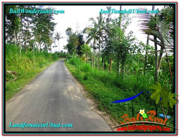 Magnificent PROPERTY 1,500 m2 LAND SALE IN Ubud Tegalalang TJUB556