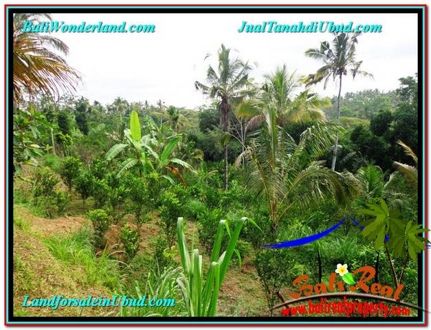 Magnificent PROPERTY 1,500 m2 LAND SALE IN Ubud Tegalalang TJUB556