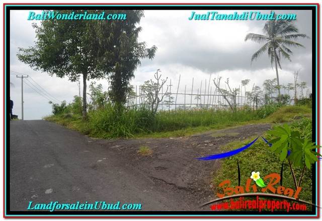 FOR SALE Beautiful PROPERTY 715 m2 LAND IN Ubud Tampak Siring TJUB557