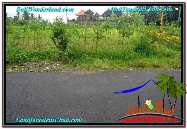 FOR SALE Beautiful PROPERTY 715 m2 LAND IN Ubud Tampak Siring TJUB557