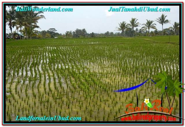 FOR SALE Beautiful PROPERTY 715 m2 LAND IN Ubud Tampak Siring TJUB557