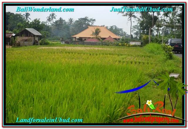 FOR SALE LAND IN Ubud Tampak Siring BALI TJUB558