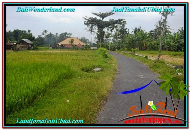 FOR SALE LAND IN Ubud Tampak Siring BALI TJUB558