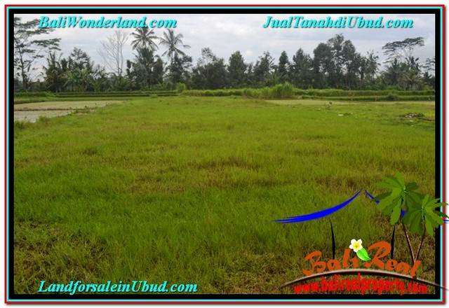 FOR SALE LAND IN Ubud Tampak Siring BALI TJUB558
