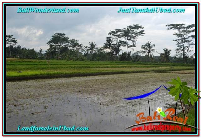 FOR SALE LAND IN Ubud Tampak Siring BALI TJUB558