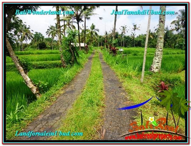 Exotic LAND FOR SALE IN UBUD TJUB559