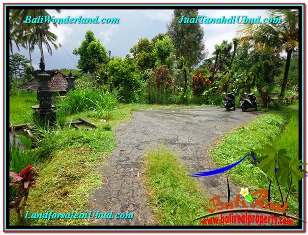 Exotic LAND FOR SALE IN UBUD TJUB559