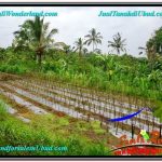 Exotic LAND FOR SALE IN UBUD TJUB559