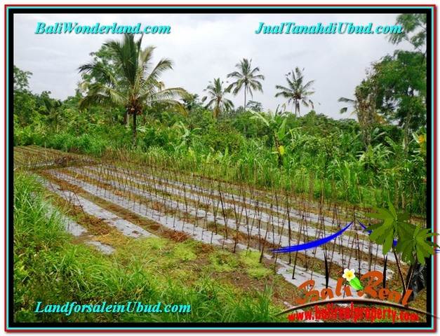 Exotic LAND FOR SALE IN UBUD TJUB559