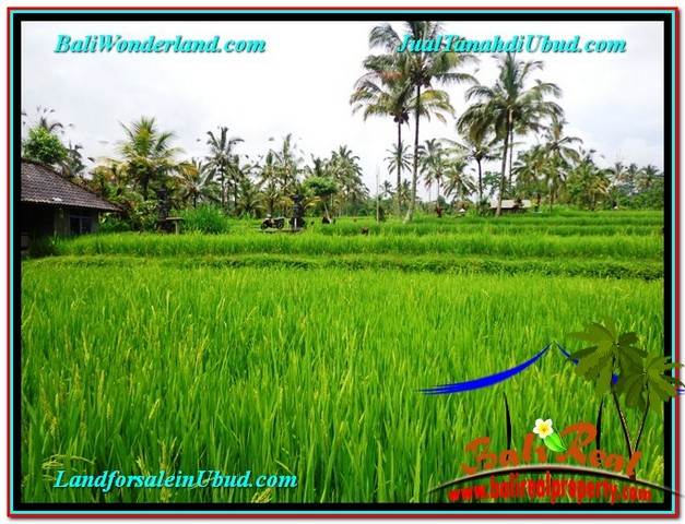 Exotic LAND FOR SALE IN UBUD TJUB559