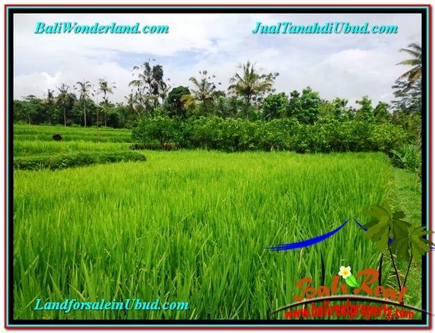 Exotic LAND FOR SALE IN UBUD TJUB559
