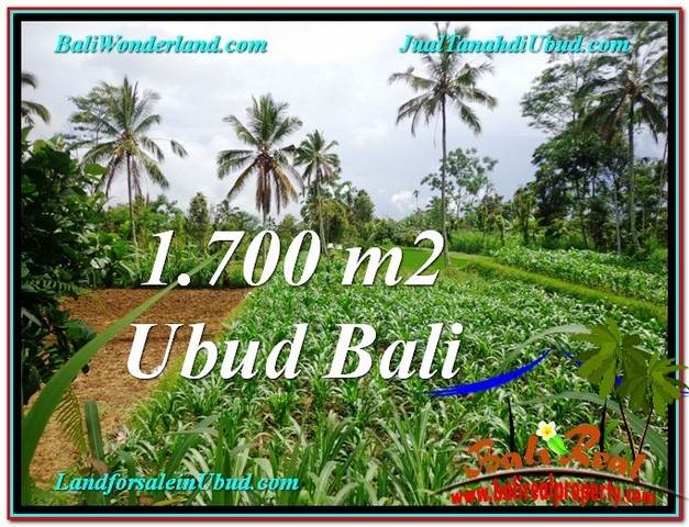 Magnificent LAND IN UBUD FOR SALE TJUB560