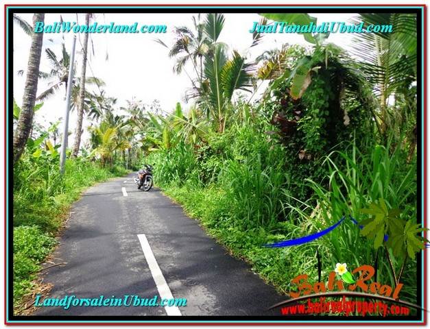 Magnificent LAND IN UBUD FOR SALE TJUB560