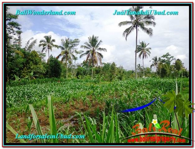 Magnificent LAND IN UBUD FOR SALE TJUB560