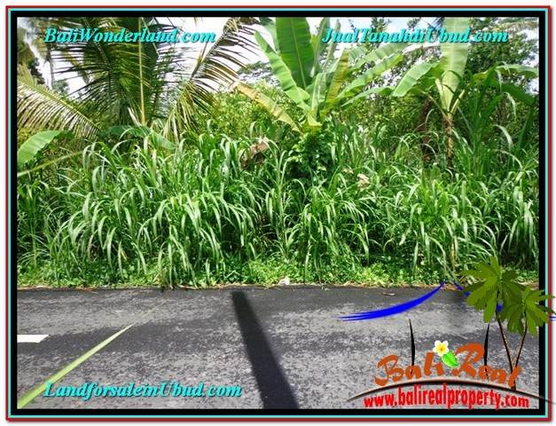 Magnificent LAND IN UBUD FOR SALE TJUB560