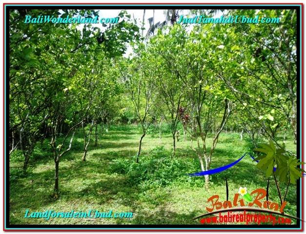 Magnificent LAND IN UBUD FOR SALE TJUB560