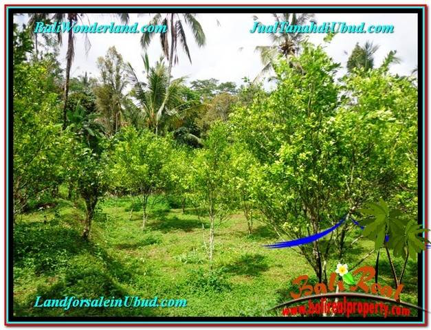 Magnificent LAND IN UBUD FOR SALE TJUB560