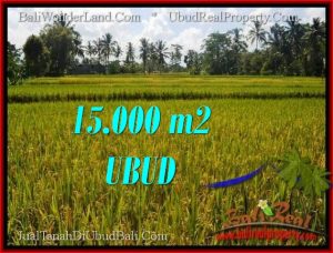Beautiful PROPERTY 15,000 m2 LAND IN Ubud Tegalalang BALI FOR SALE TJUB551