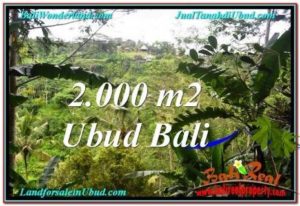 Beautiful 2,000 m2 LAND SALE IN UBUD BALI TJUB573
