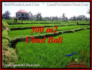 FOR SALE Affordable 500 m2 LAND IN UBUD BALI TJUB543