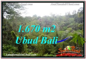 Affordable PROPERTY LAND IN UBUD FOR SALE TJUB569