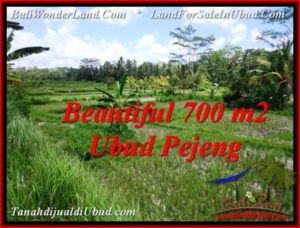 Beautiful 700 m2 LAND IN Ubud Pejeng FOR SALE TJUB534