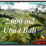 Magnificent 2,000 m2 LAND FOR SALE IN Ubud Payangan TJUB573