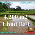 Exotic LAND FOR SALE IN UBUD TJUB561