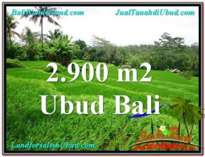 2,900 m2 LAND FOR SALE IN UBUD BALI TJUB564
