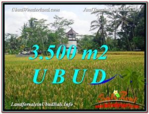 Beautiful PROPERTY 3,500 m2 LAND FOR SALE IN Ubud Tegalalang TJUB596