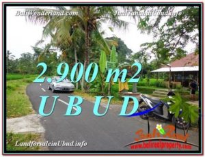 Beautiful 2,900 m2 LAND IN UBUD BALI FOR SALE TJUB586