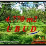 Affordable LAND SALE IN Ubud Tegalalang BALI TJUB598