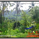 Beautiful 15,600 m2 LAND FOR SALE IN Ubud Payangan TJUB601