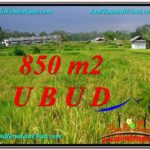 Magnificent 850 m2 LAND FOR SALE IN Ubud Pejeng TJUB583