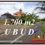 FOR SALE Affordable PROPERTY 1,700 m2 LAND IN UBUD BALI TJUB588